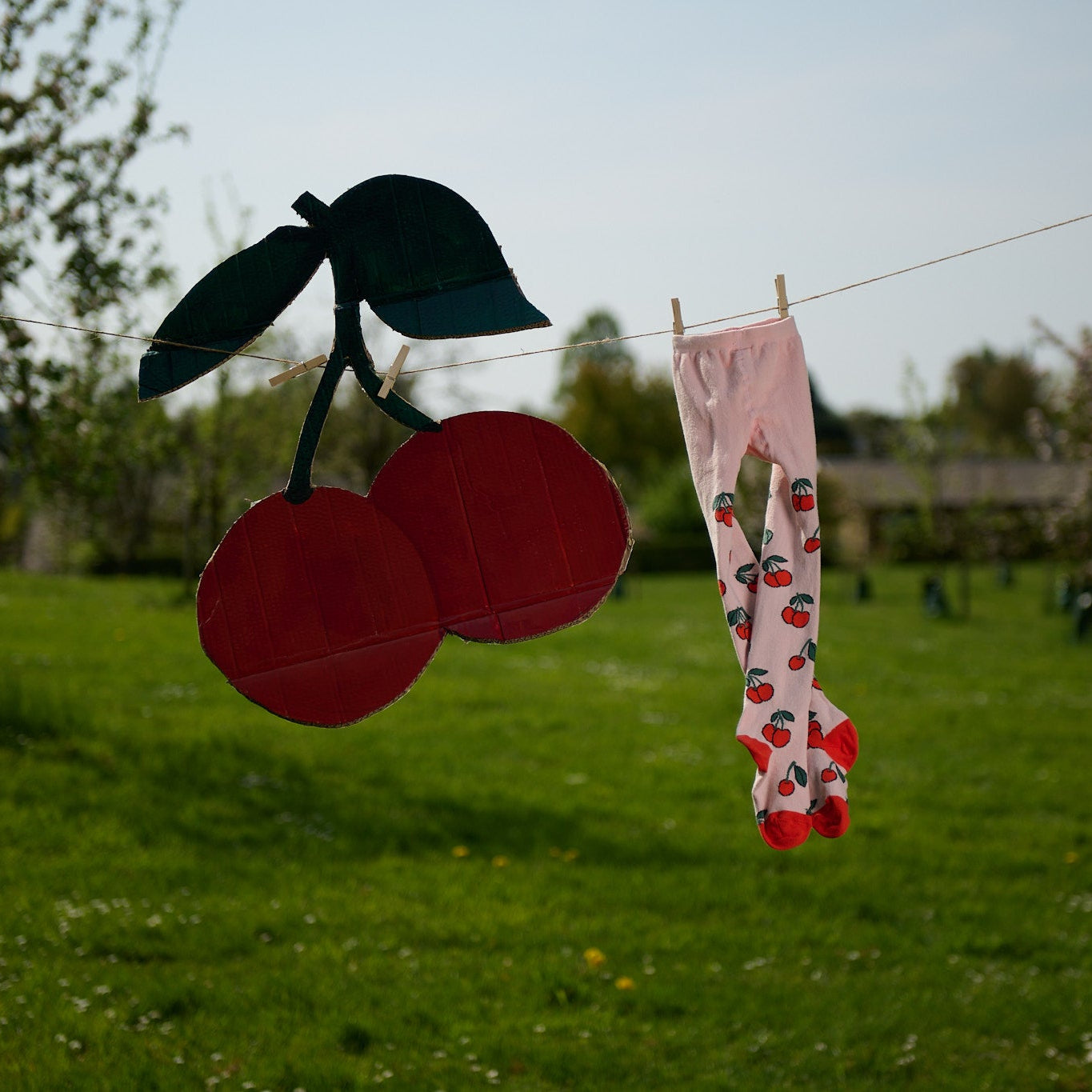 Cherries tights