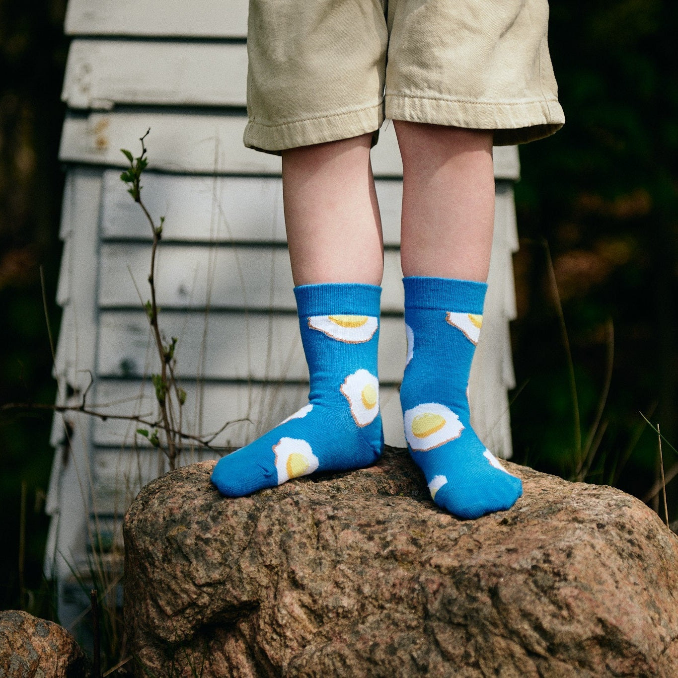Eggs socks