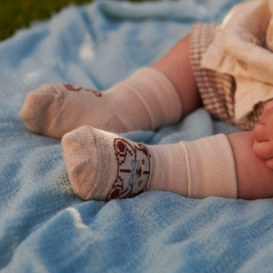 Teddy socks