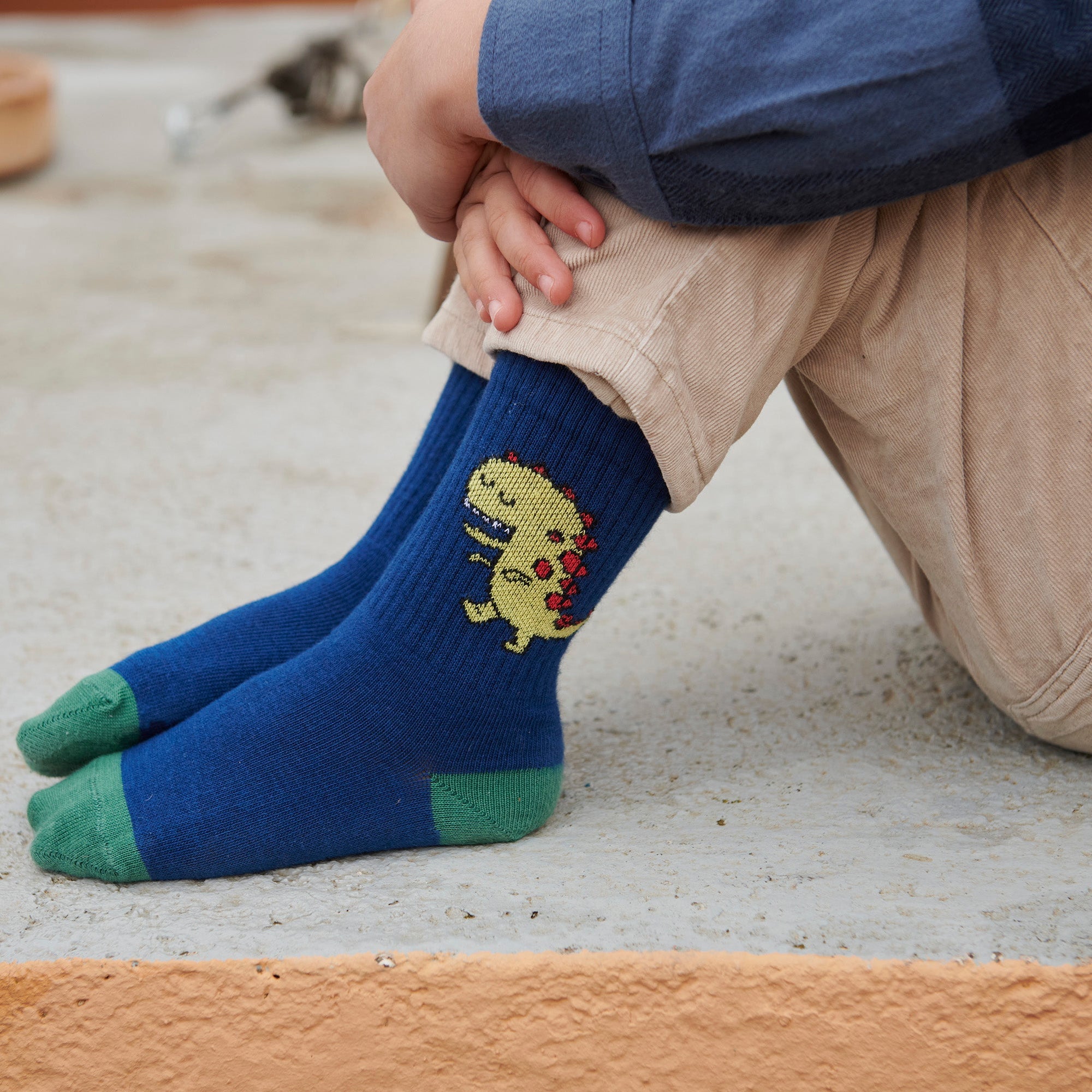 Dino socks